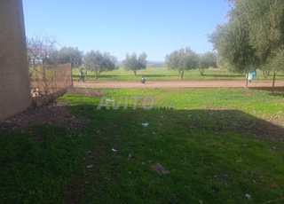 Terrain à vendre 