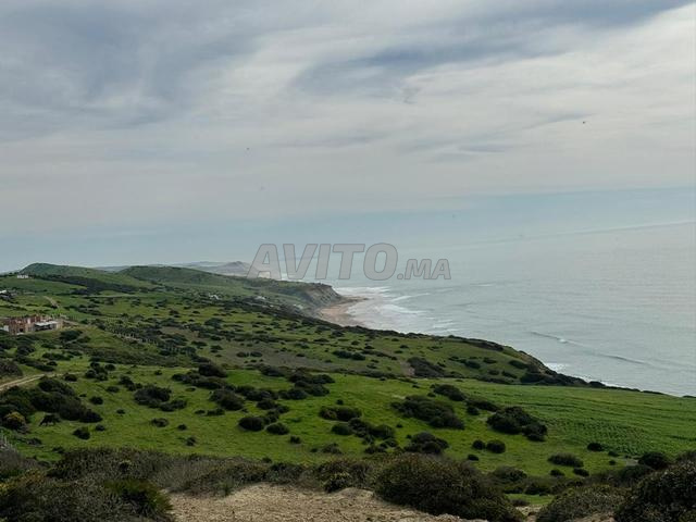 Terrain à Vendre Vue sur Mer à Asilah