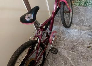 القرية،احصين