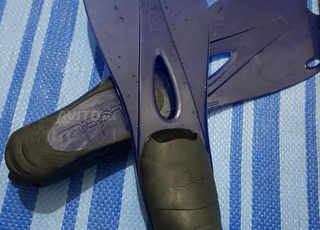 palmes dyal bera original 