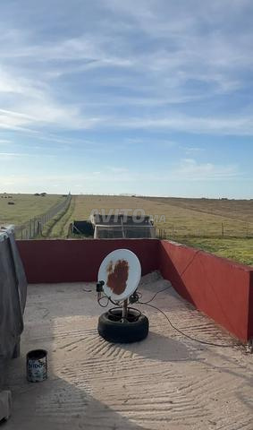 هكتار و سبعة خدامة فيها منزل مسيجة عين جوهرة