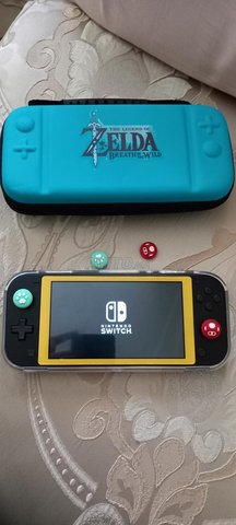 Nintendo switch lite flashé 