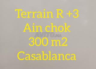 R p 3 Terrain 2 face 300 m2 a Ain chock 