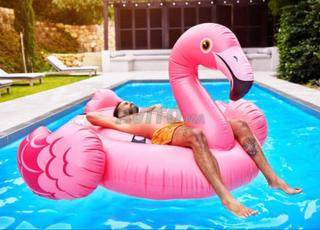 Flamant géant gonflable Intex XXL Original