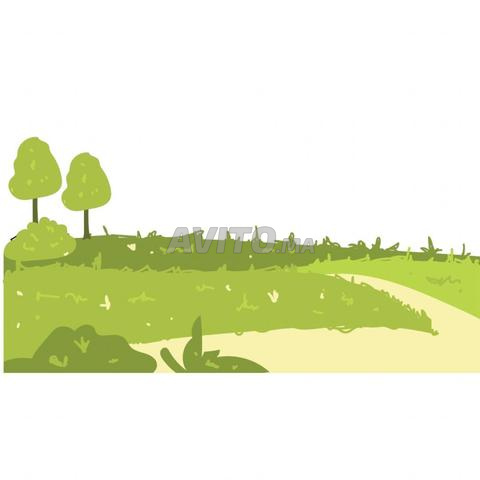 Terrain à vendre à Ain Aouda 