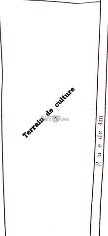 ارض فلاحية للبيع المساحة 4000 متر مربع - 2
