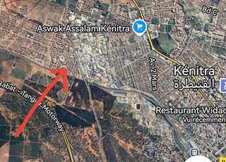 R-3 commerciale avec cave 