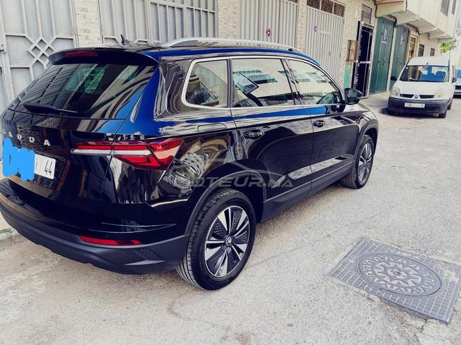 Skoda karoq 2024 