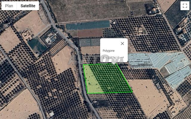 🌿 Terrain agricole à vendre 