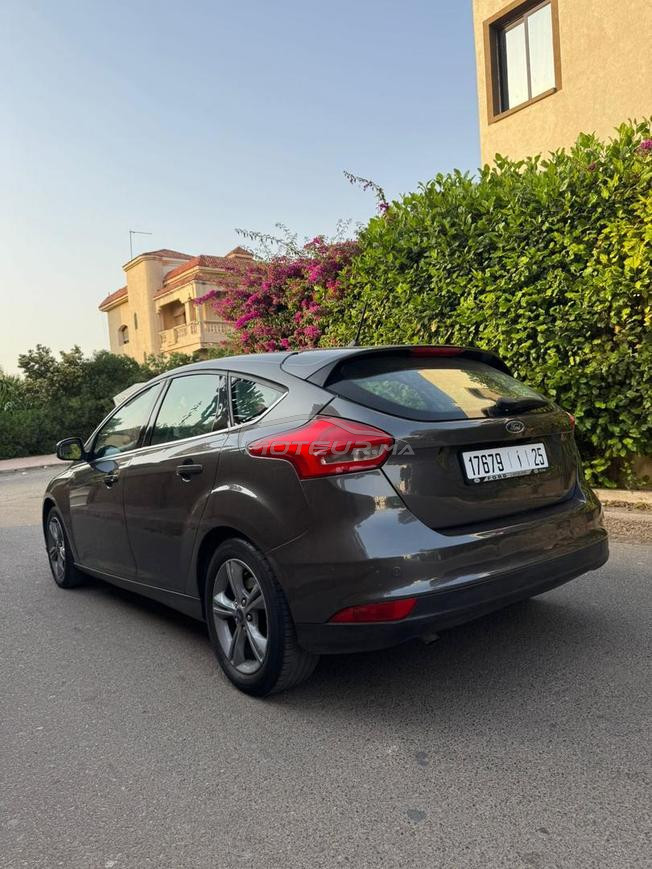 focus trend plus