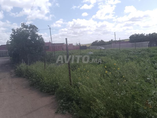 أرض للبيع فسيدي حجاج ولاد زيان 