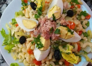 Cuisinière nounous femme de ménage 