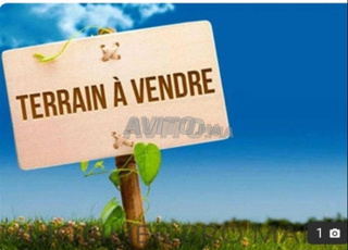 طماريس 2 دوار الركالات 