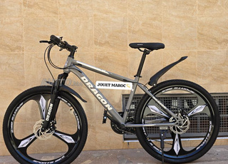 VÉLO VTT DRAGON 26P