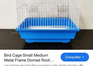 cage oiseau canaris perruche