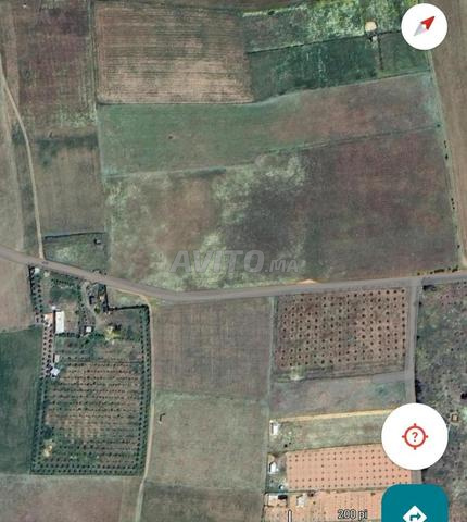 أرض فلاحية مساحتها اكثر من 13000 متر مربع  - 2