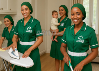 عميلات المنازل محترفات 