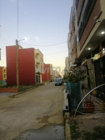 Tertain titté à vendrr - 2