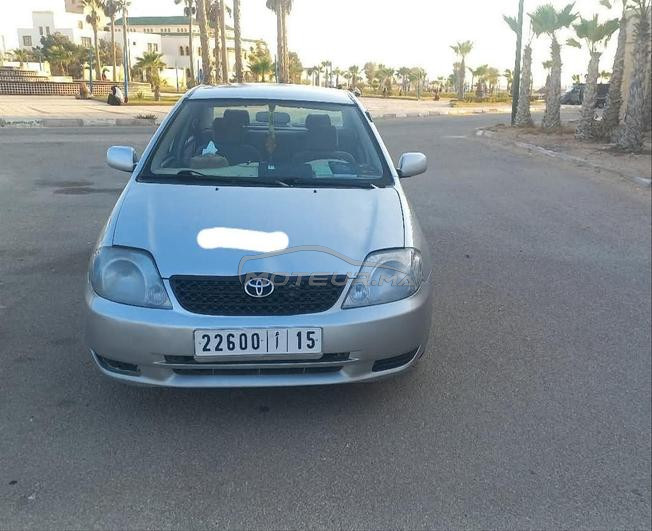 toyota corrolla