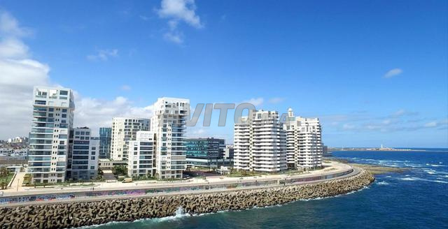 À VENDRE / À LOUER BUREAU DE 523 m² MARINA CASA