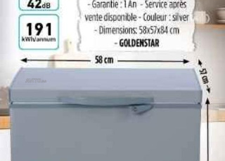 congélateur golden star 140L Prix 1400 DH 