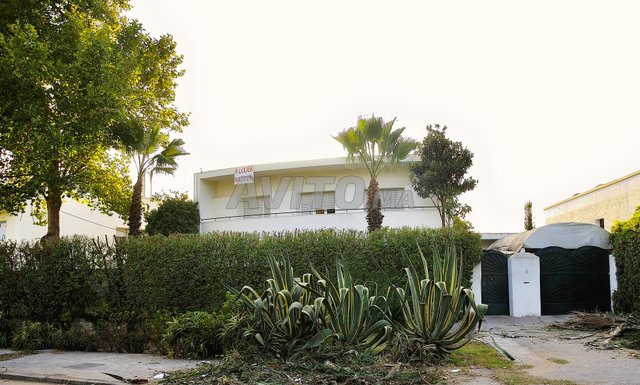 2 Villas Art-déco (1 titre), terrain de 805 m2 