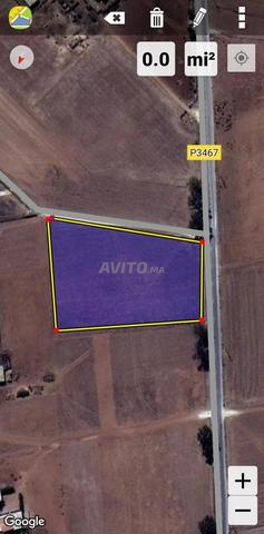 3.5 hectares à bir jdid