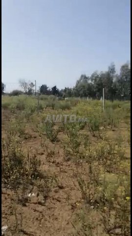 vend jolie terrain pour villa maison pas titré