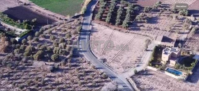ارض محفظة للبيع terrain titré à vendre  - 2