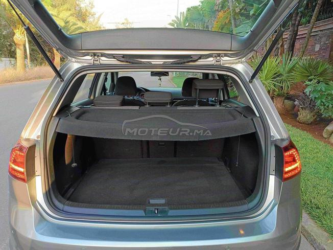 golf 7 pack gtd