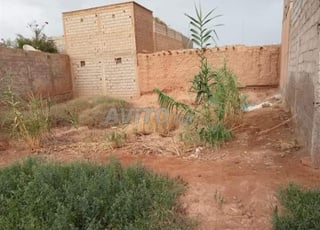 ولاد زبير قرب سبت بن ساسي قرب 20 دقيقة على المدينة