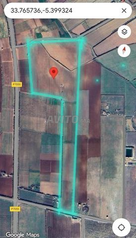 ارض فلاحية للبيع محفضة جنب الطريق إقليم الحاجب