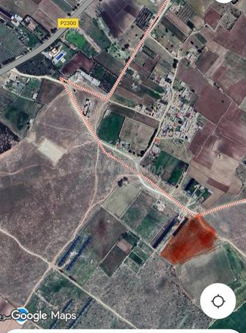 أرض للبيع بدوار الدراوش حد احرارة