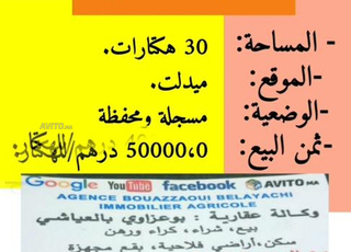 TERRAIN AGRICOLE DE 30 HA A MIDELT