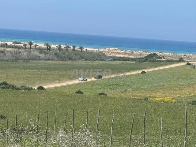 terrain  à vendre sur mer ASSILAH   - 2
