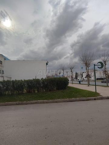 Terrain molkiya à vendre construction une villa