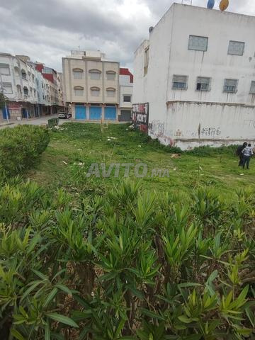 Terrain molkiya à vendre construction une villa