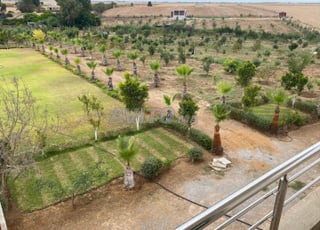 ferme à vendre à Bouznika 1hectare 2500m carrés 