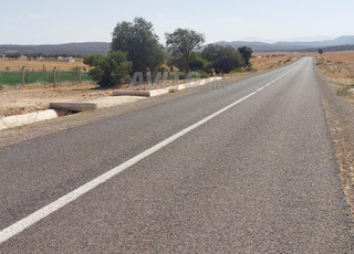 فيرمة 2هكتار فصاد على طريق 