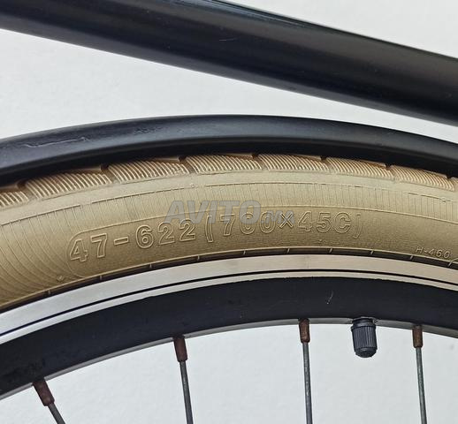 pikala spirit. mazal zwina li bghaha marhba - 2