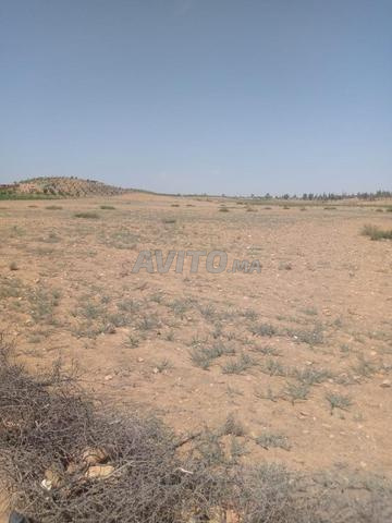 Terrain à vendre 4 hectares