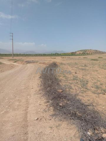 Terrain à vendre 4 hectares - 2