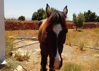 Province d'Essaouira 
