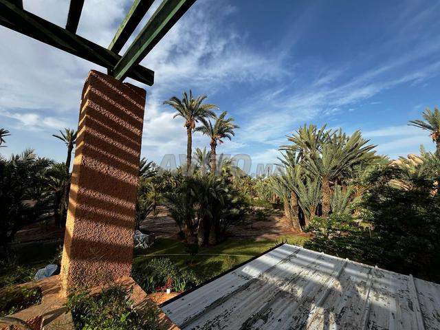 Appartement à louer quotidiennement - image 4