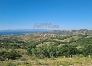 أرض للبيع فدان شابو 6 هكتار منطقة فيلات و فندق