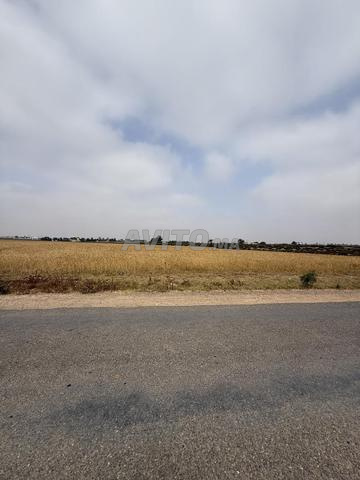 12800 metre titre emplacement stratégique a vendre - 2