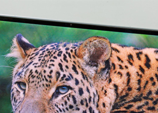 Dell XPS 9300 | i5-1035G1 | 512GB Nvme | 8GB RAM