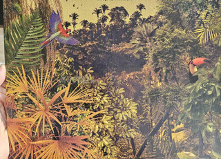 Disque Vinyle Camarao Orkestra