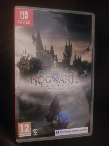 Nintendo switch lite en bonne état avec hogwarts 