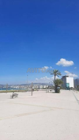 appartement meublé Propre face marina bay - 2